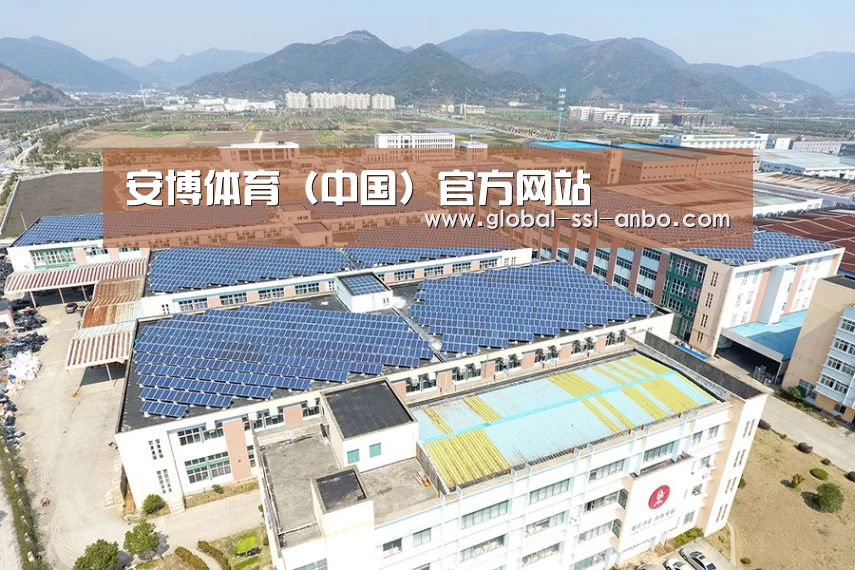 案例展示二