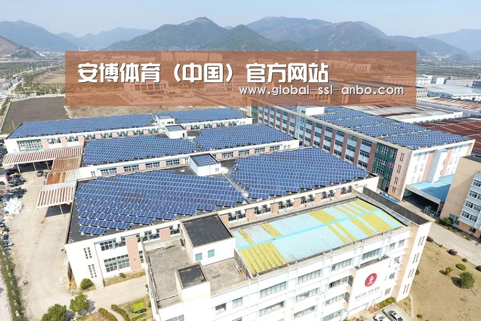 案例展示四