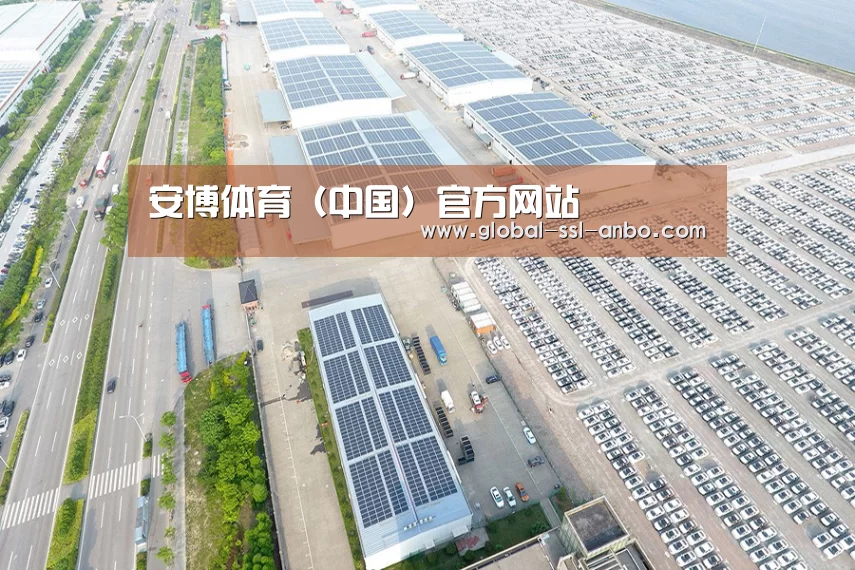 案例展示一