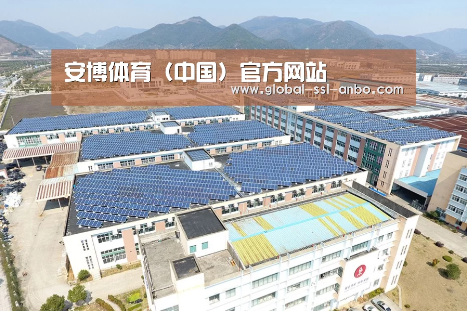 案例展示三
