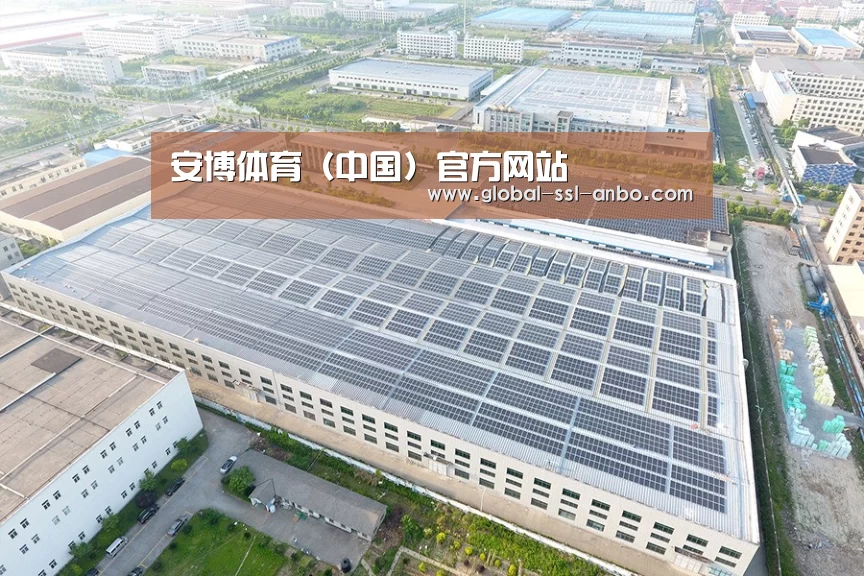 案例展示四
