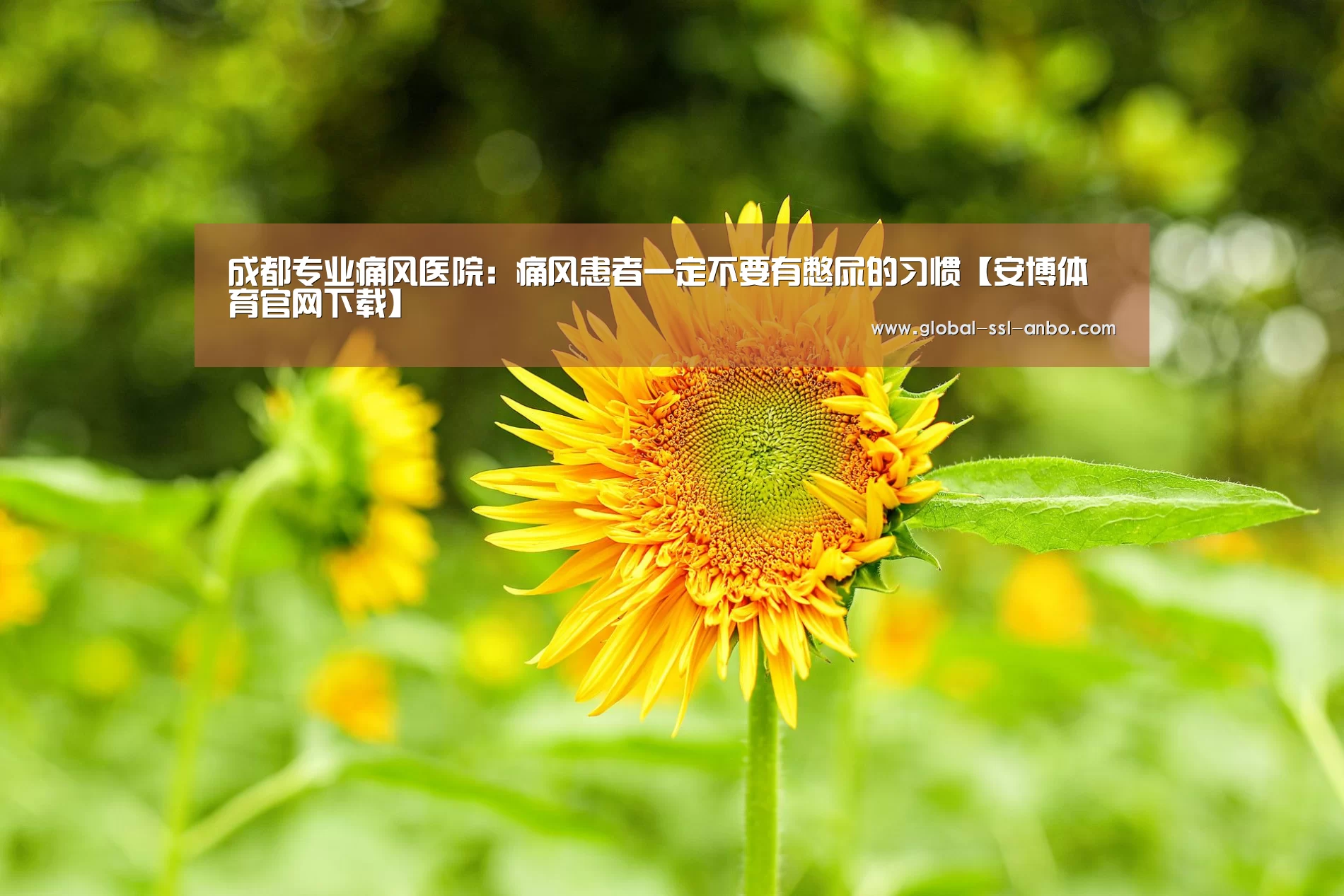安博体育官网下载